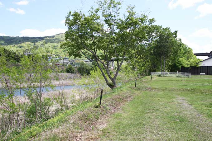 女性用展望サイト