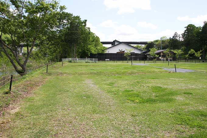 女性用展望サイト